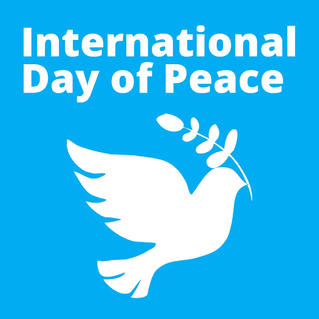 IDP-white-dove-w-text